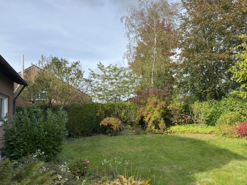 Blick in den Garten I