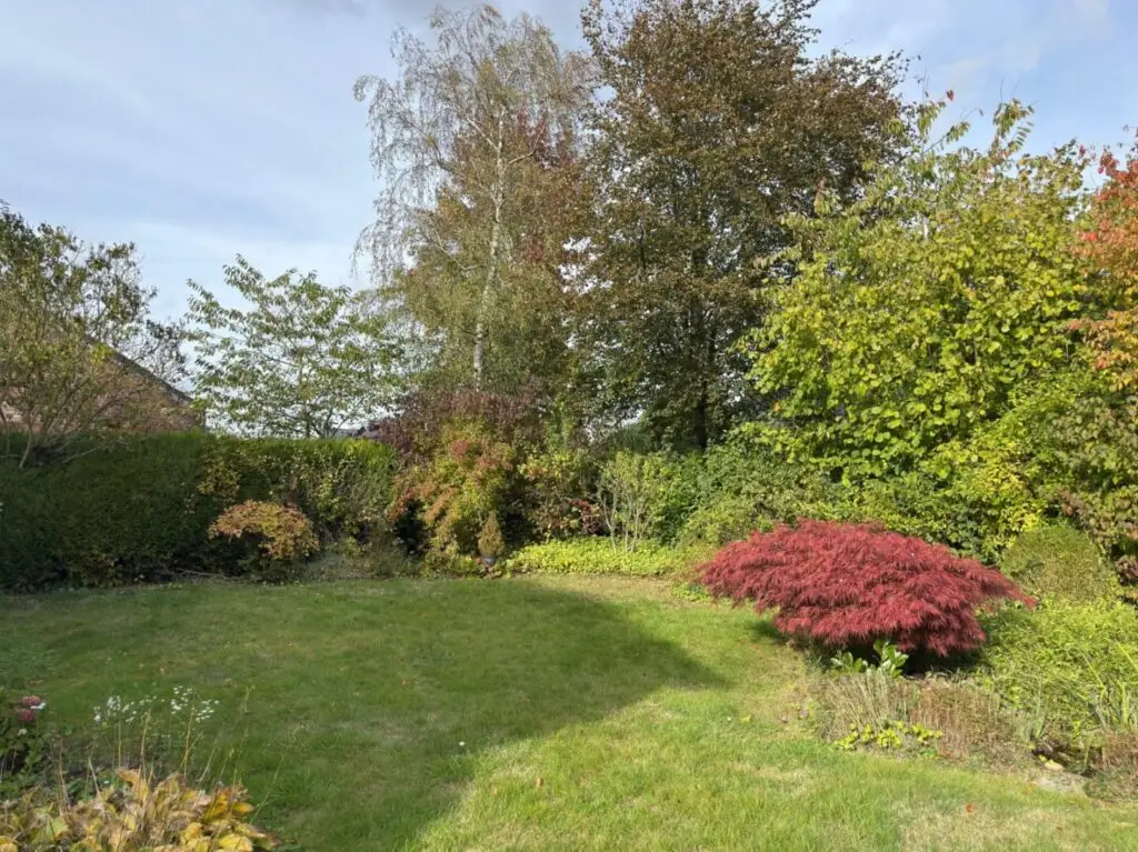 Blick in den Garten